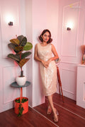 Champagne Sheer Dress