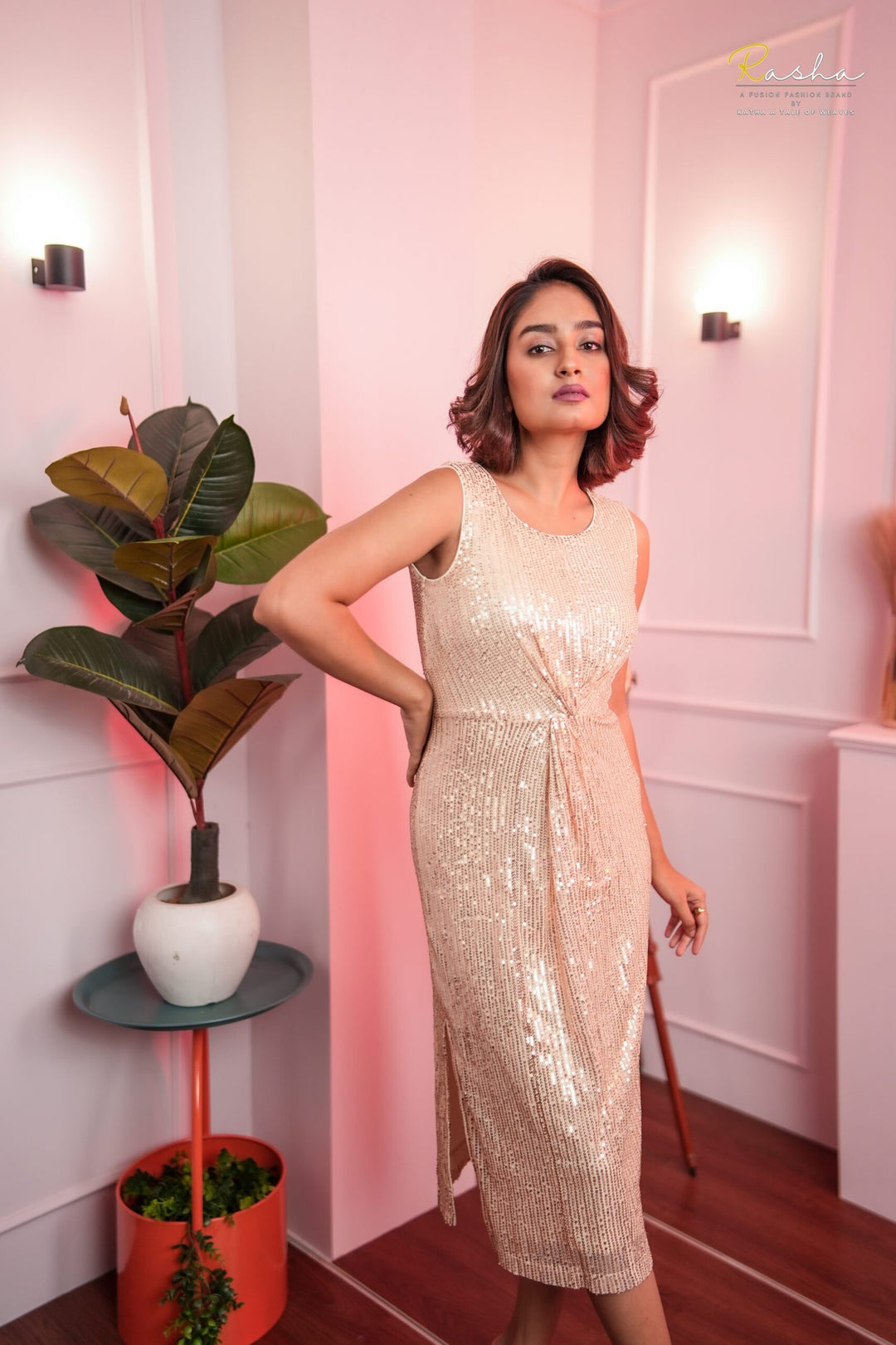 Champagne Sheer Dress