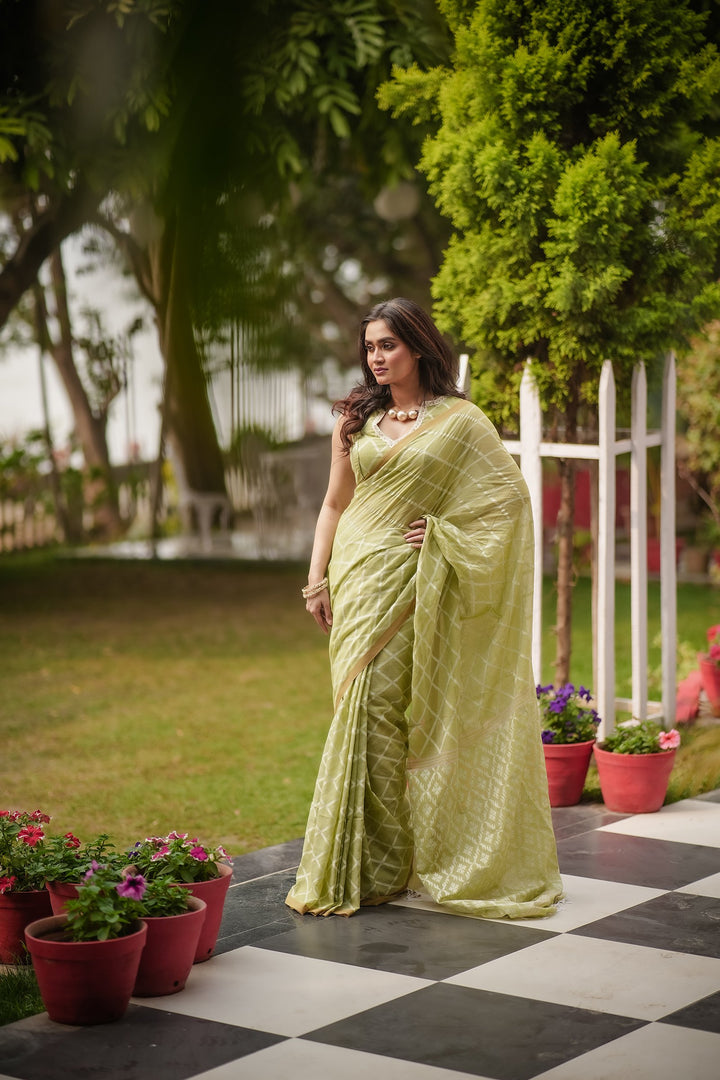 Elysian Pastel Green Jamdani Saree