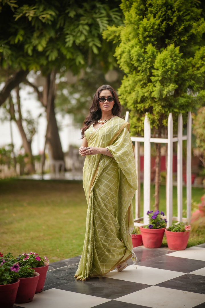 Elysian Pastel Green Jamdani Saree